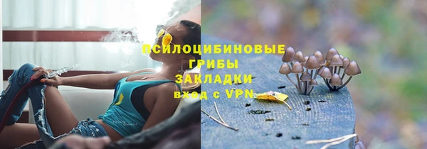 кристаллы Алзамай