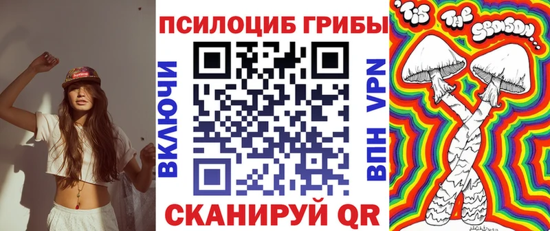 Галлюциногенные грибы Psilocybine cubensis  Буй 